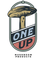 ONE UP MUSHROOM